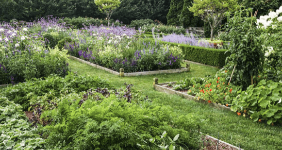 Herb garden at De Uijlenes