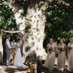 Image of bride and groom under tree