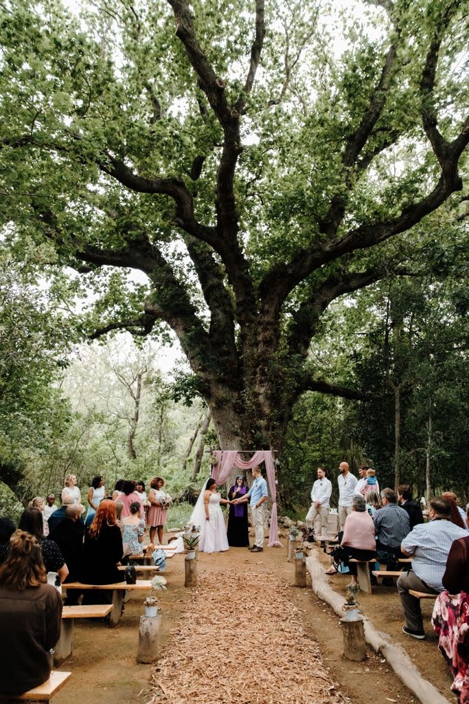 Cabin Wedding Venue Forest Wedding couple photos