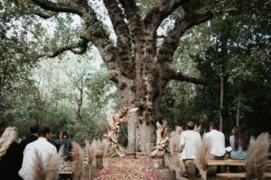 De Uijlenes Wedding Forest Ceremony